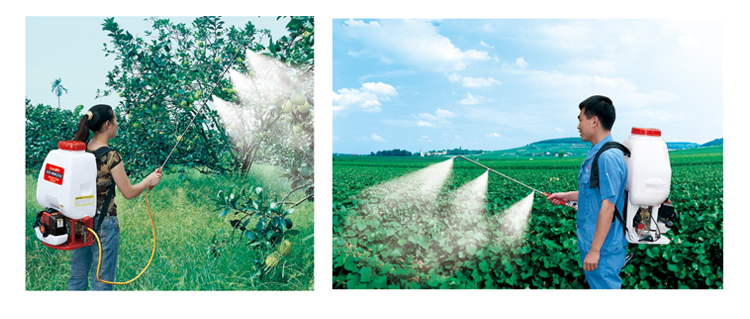 3WZ-6ABCDE-TU (5) 3WZ-6ABCDE-TU (5)