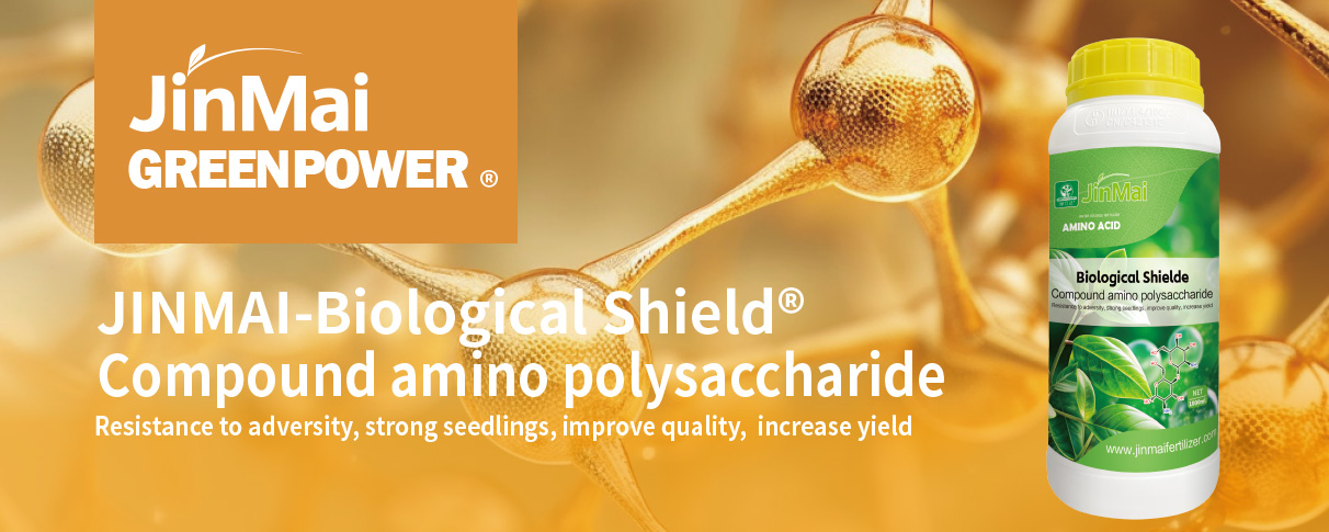 Compound Amino Polysaccharide Fertilizer_01 Zusammengesetzter Aminopolysacchariddünger_01