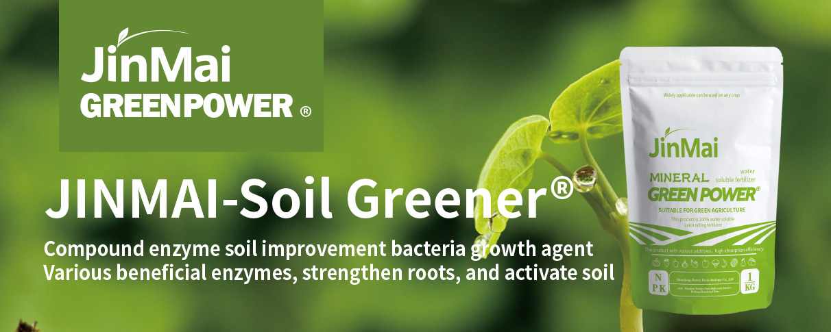Compound Enzyme Soil Improvement Bacteria Growth Agent_01 Bileşik Enzim Toprak İyileştirme Bakterileri Büyüme Ajanı_01