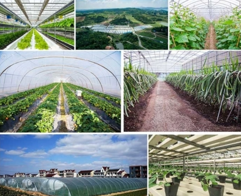 Pompe à chaleur haute température Prise en charge des opérations agricoles et horticoles modernes