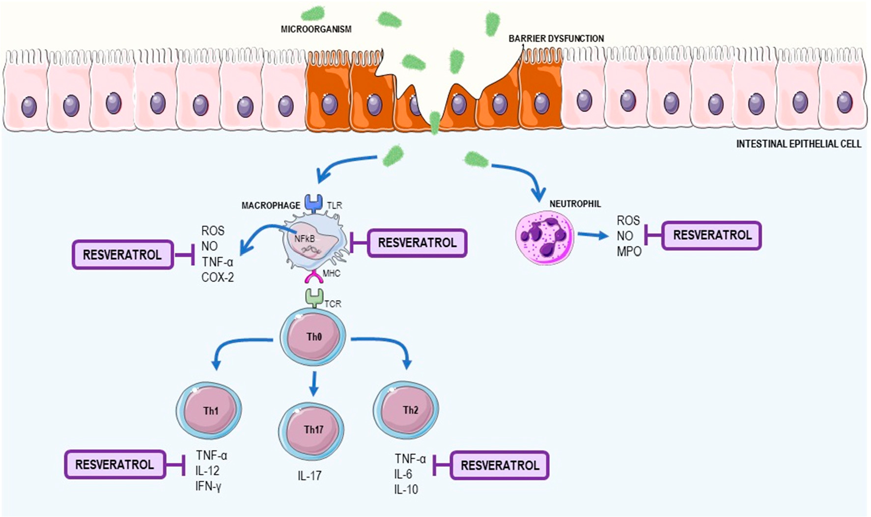 nutrients-09-01306-5 živiny-09-01306-5