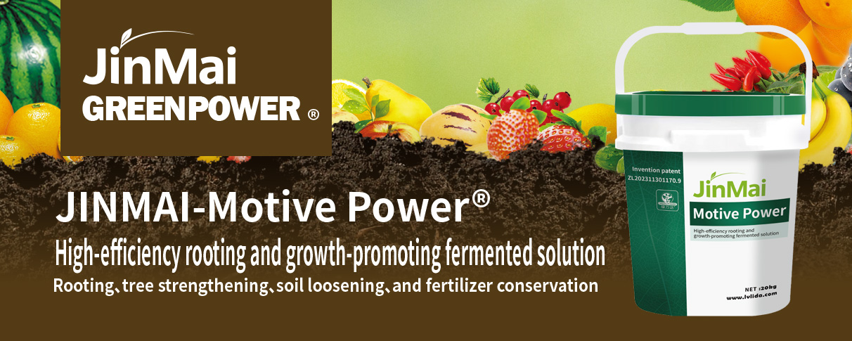 High-Efficiency Rooting And Growth-Promoting Fermented Solution Fertilizer_01 Hocheffizienter wurzelbildender und wachstumsfördernder fermentierter Lösungsdünger_01