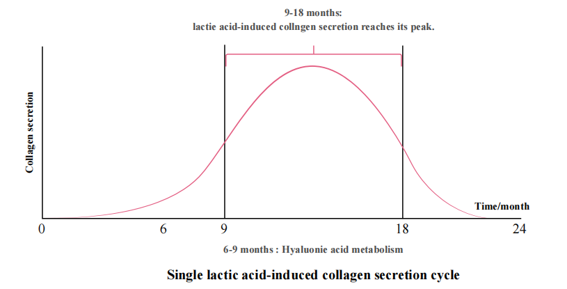 PLLA Filler Dermal filler for Anti-aging PLLA 填充劑 延緩老化跡象真皮填充劑