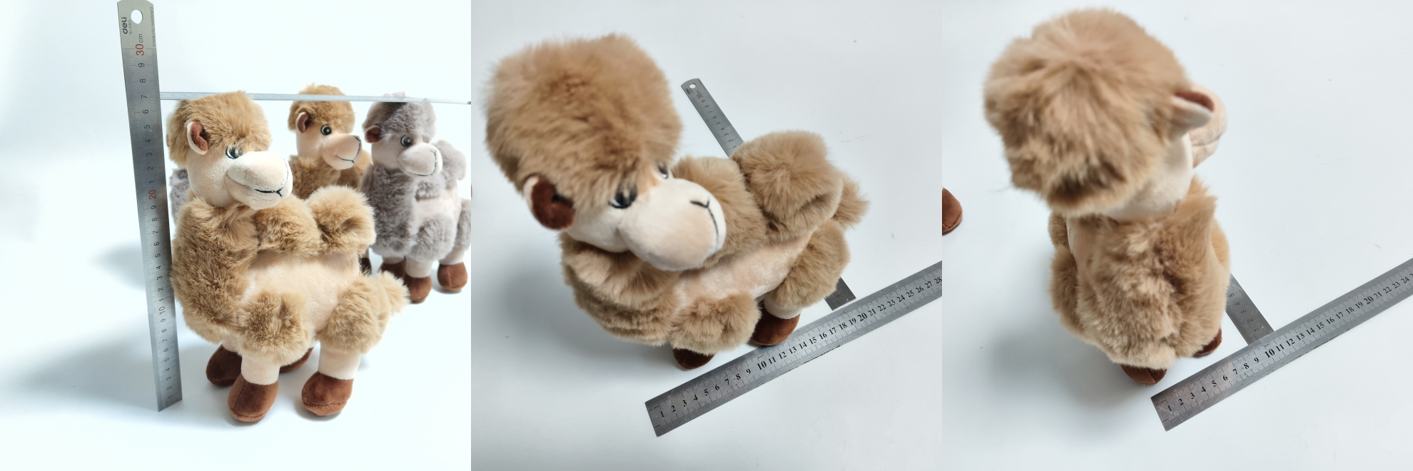 9 size 9 ទំហំ