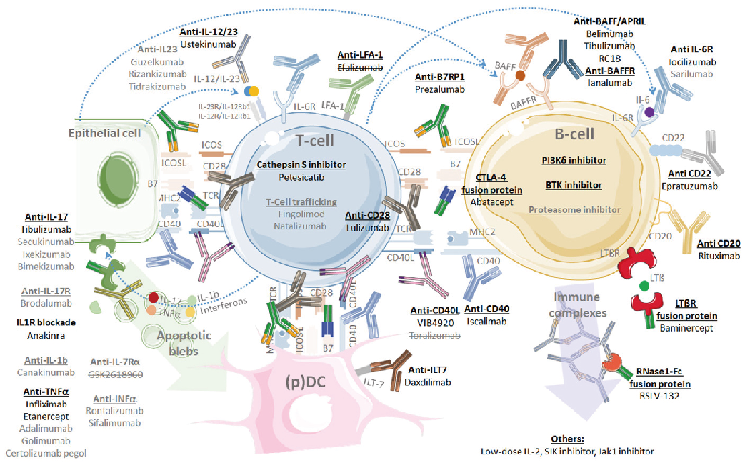 9f8b152f3b359ec836490d3635286a7 9f8b152f3b359ec836490d3635286a7