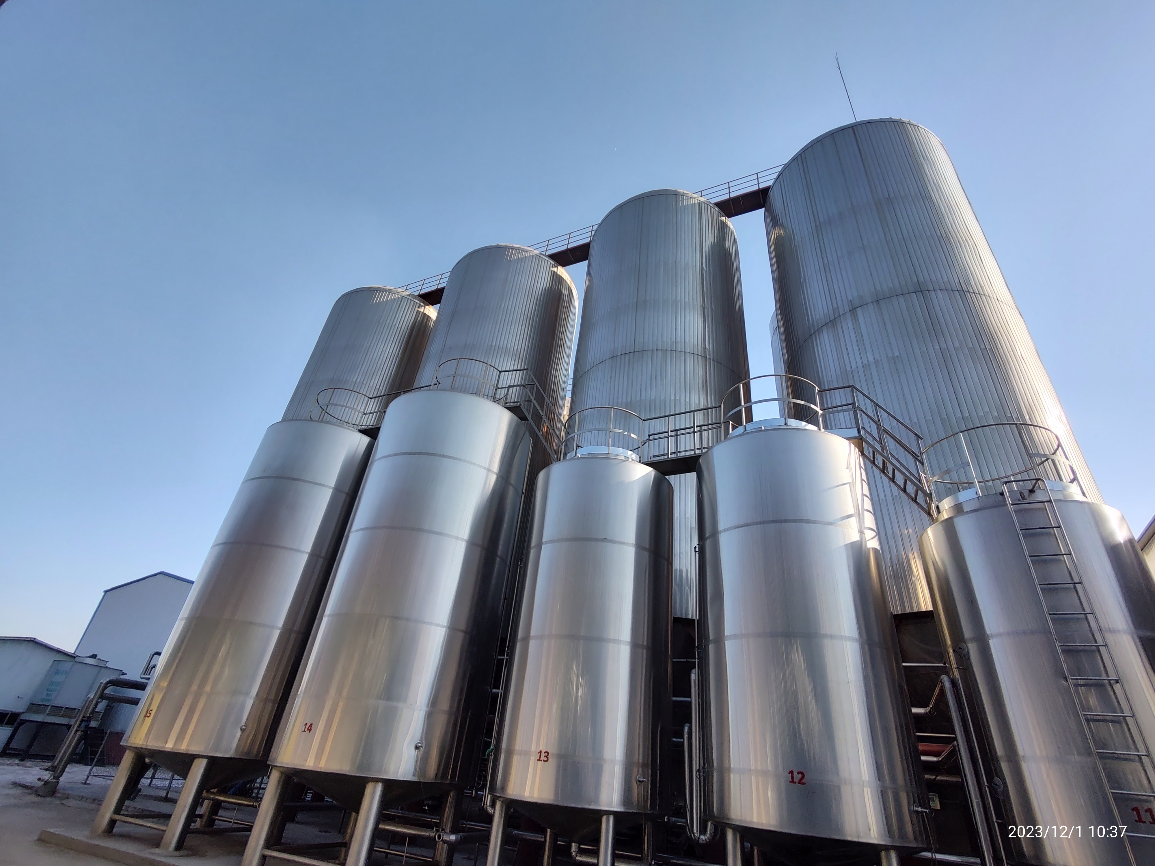 IMG_20231201_103703264_HDR IMG_20231201_103703264_HDR