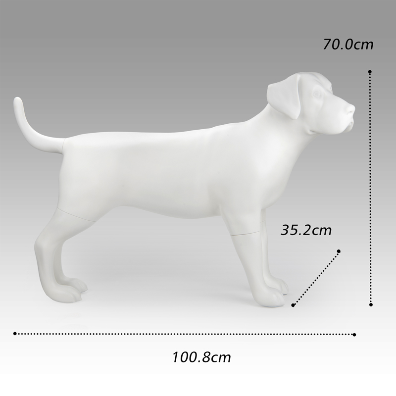 Matte White Fiberglass Labrador Mannequin 무광택 흰색 유리 섬유 래브라도 마네킹