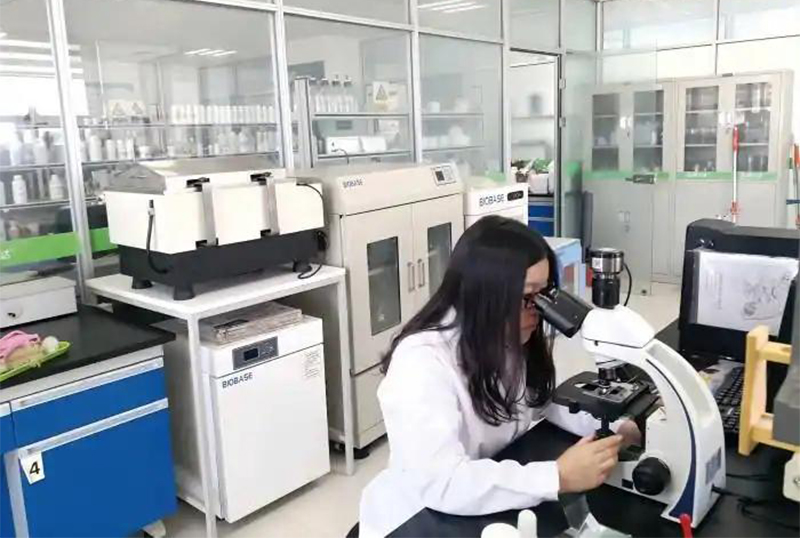 Jinmai Biotech Accelerates 2025 Transformation and Innovation_02 Jinmai Biotech تحول و نوآوری 2025 را تسریع می کند_02