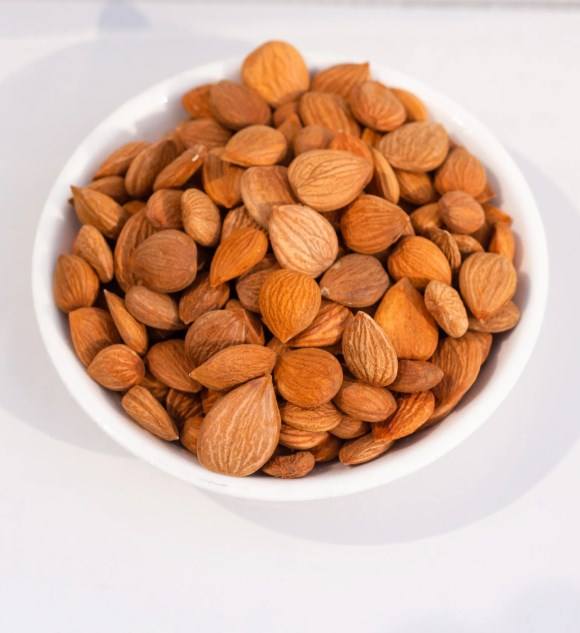 Main-03 (1) 主-03 (1)