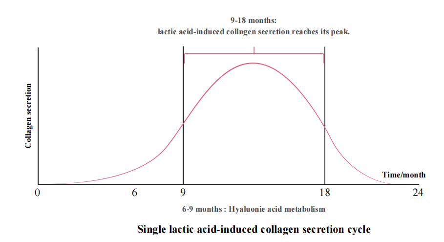 Duration of PLLA Filler PLLA 填充剂的持续时间