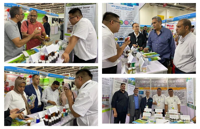 JINMAI-Successfully-Concludes-Egypt-International-Agricultural-Exhibition-2025_03 JINMAI-အောင်မြင်စွာ-နိဂုံးချုပ်-အီဂျစ်-နိုင်ငံတကာ-စိုက်ပျိုးရေး-ပြပွဲ-2025_03