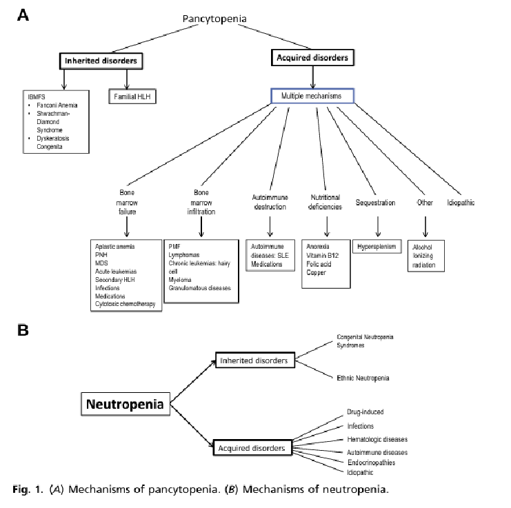 3ac0466aebcc2604ae5604d407b22fc 3ac0466aebcc2604ae5604d407b22fc