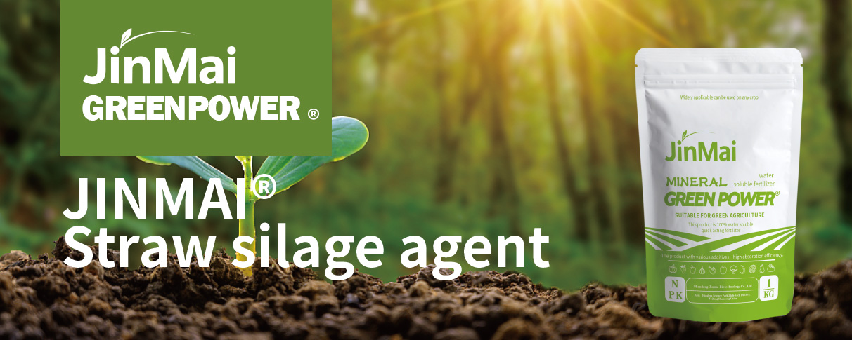 Straw Silage Agent_01 عامل سیلو نی_01
