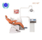 Silla dental médica caliente de la venta HDC-N8 con precio bajo