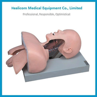 H-50 Hochwertiges Trachea-Intubations-Trainingsmodell