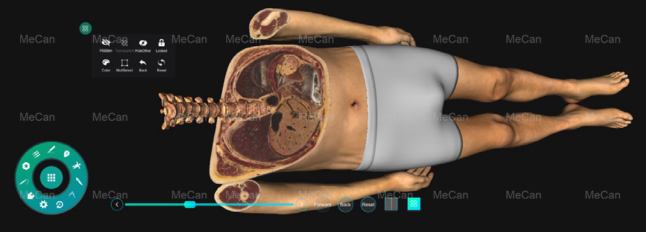 2.Virtual Anatomy Table-Touch ການຄວບຄຸມການດໍາເນີນງານແລະການຈໍາລອງ virtual