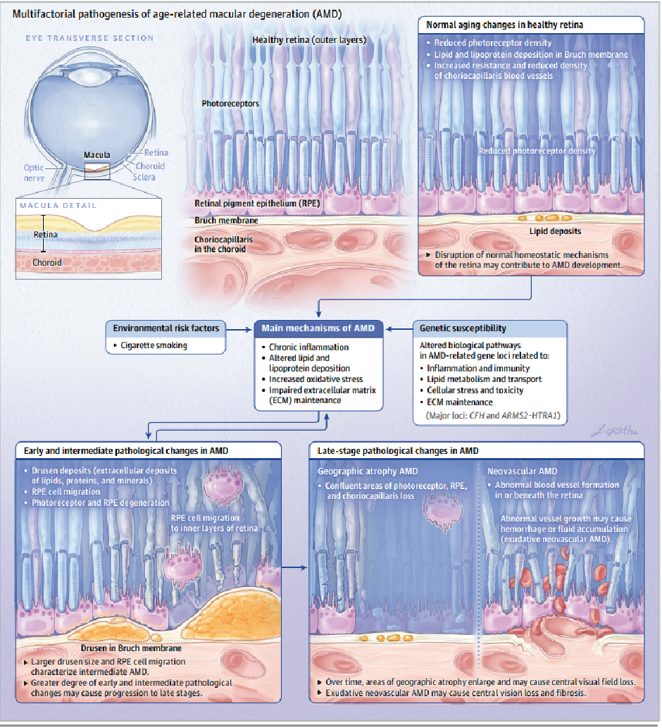 16007фб42948524510е0228ац711еед