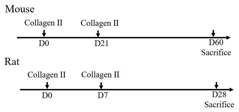 DA070045766FAE7653197052F0671D8
