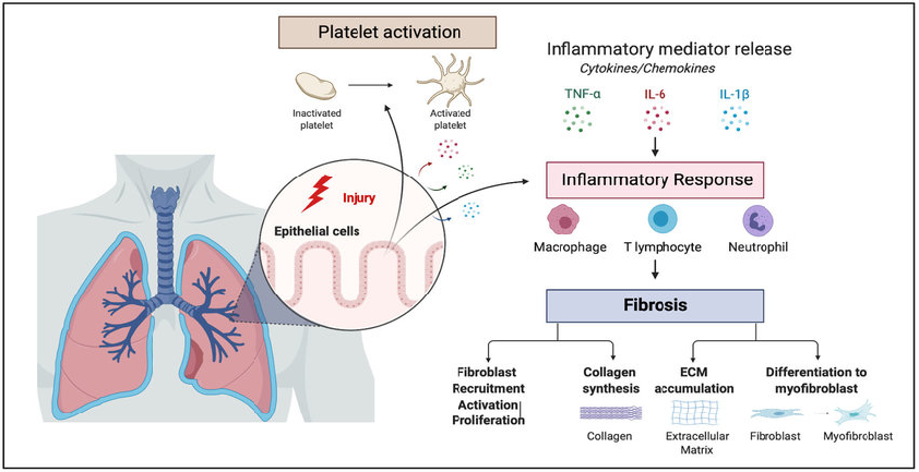 5a62650652d54a3bf5733a869234a07
