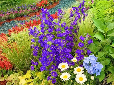 Engrais β-1,3 Glucane_11