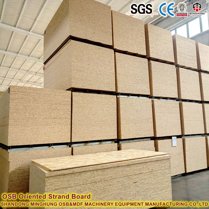 Orientoitu Strand Board Machine