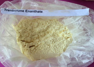 pc17577390-raw_steroid_powders_trenbolone_enanthate_cas_no_472_61_546_for_muscle_gain_female_bodybuilding_steroids