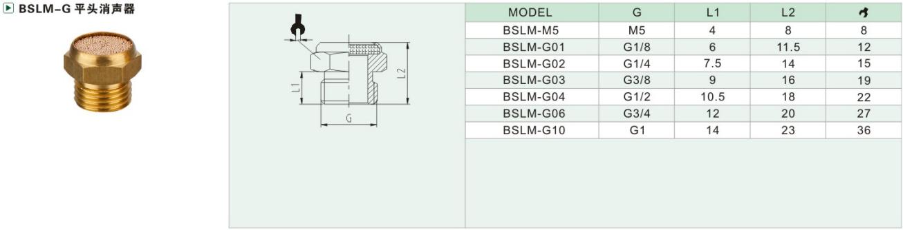 BSLM