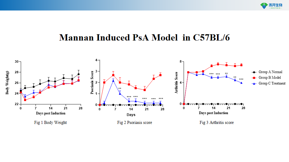 cbd60962887c45aa05e58c4d72bd633