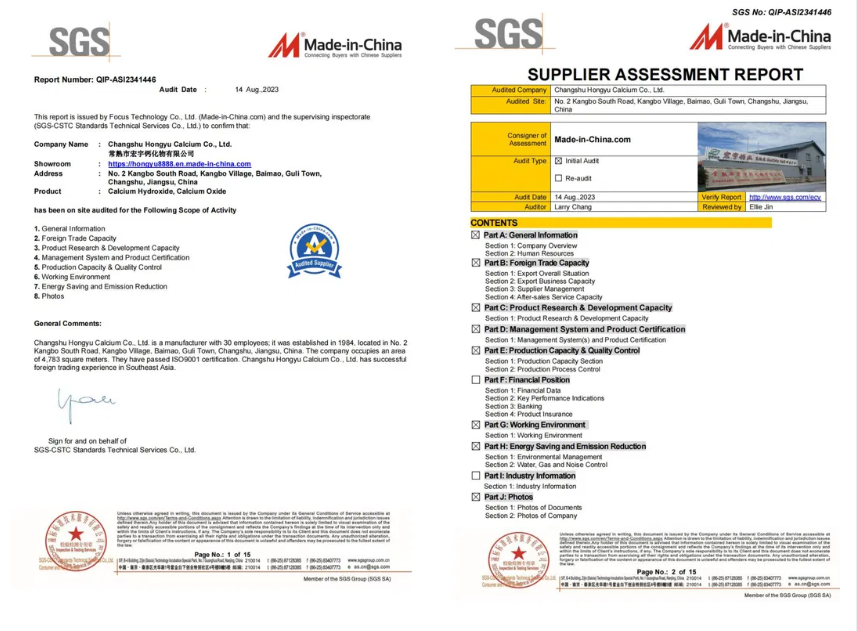 Relat&oacute;rio de avalia&ccedil;&atilde;o de fornecedor da SGS Certifica&ccedil;&atilde;o Made-in-China Changshu Hongyu