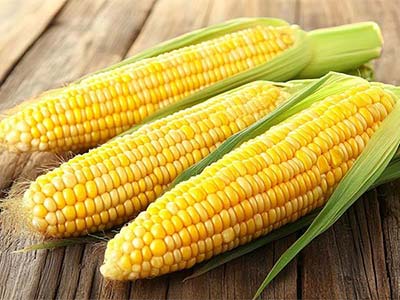 Fertilizante Glucano Boro Molibd&ecirc;nio Zinco_05