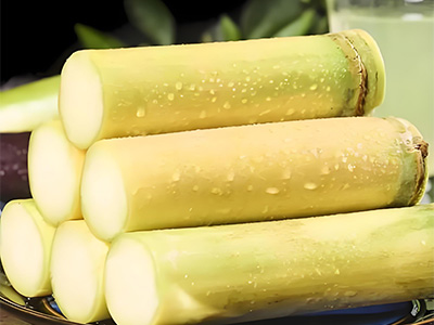 هیومیک اسید استخراج شده زیستی_10