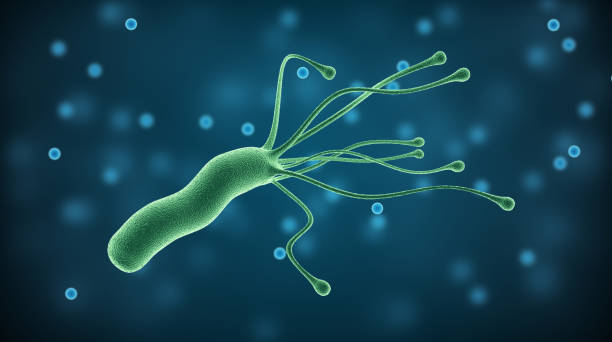 Apa sampeyan kudu ngerti babagan Helicobacter pylori