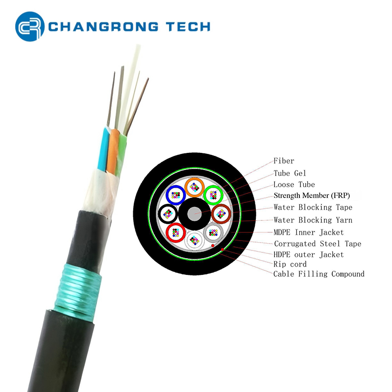 GYFTY53首图10
