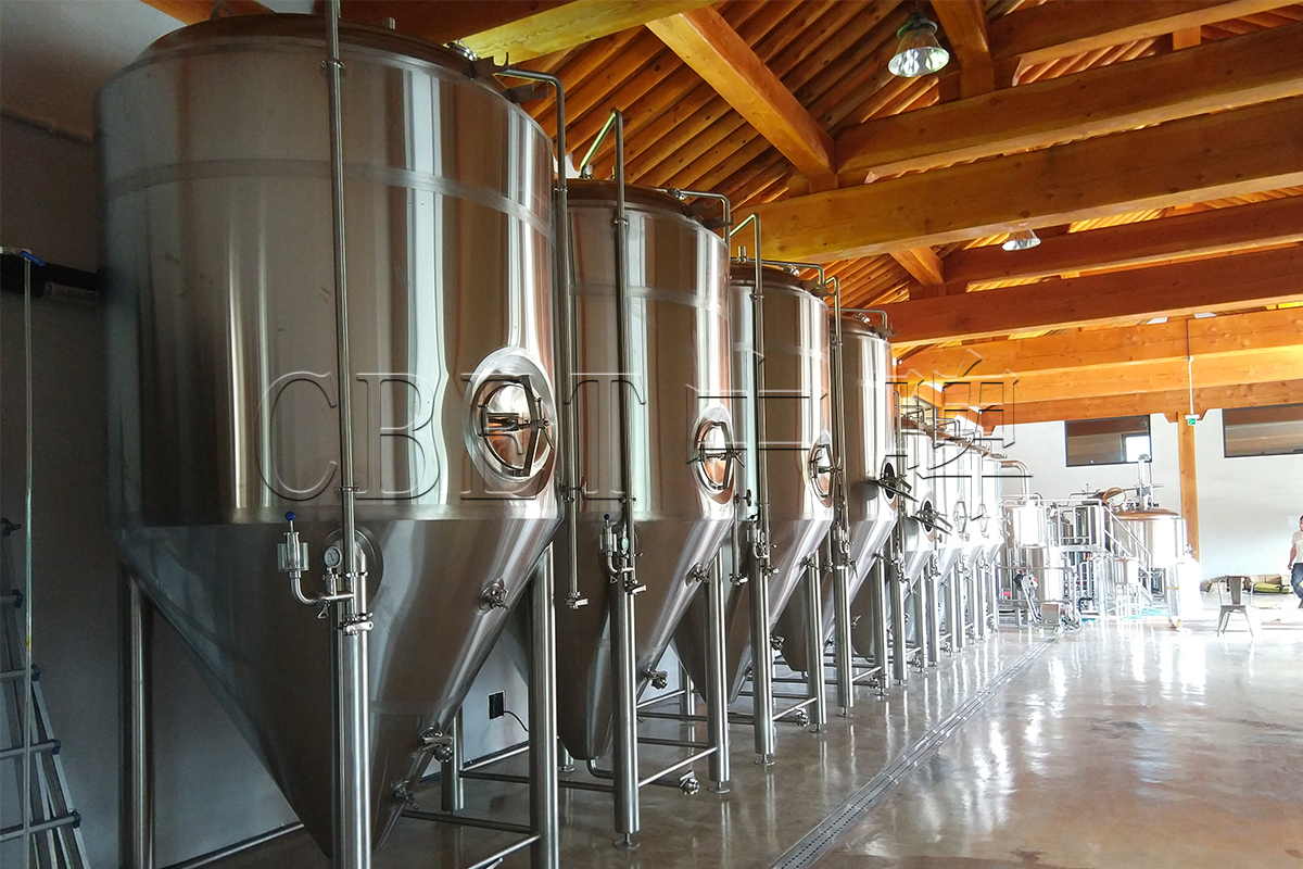 10BBL19