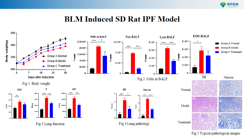 9bc6d91a546c788e5af3b0d81051207
