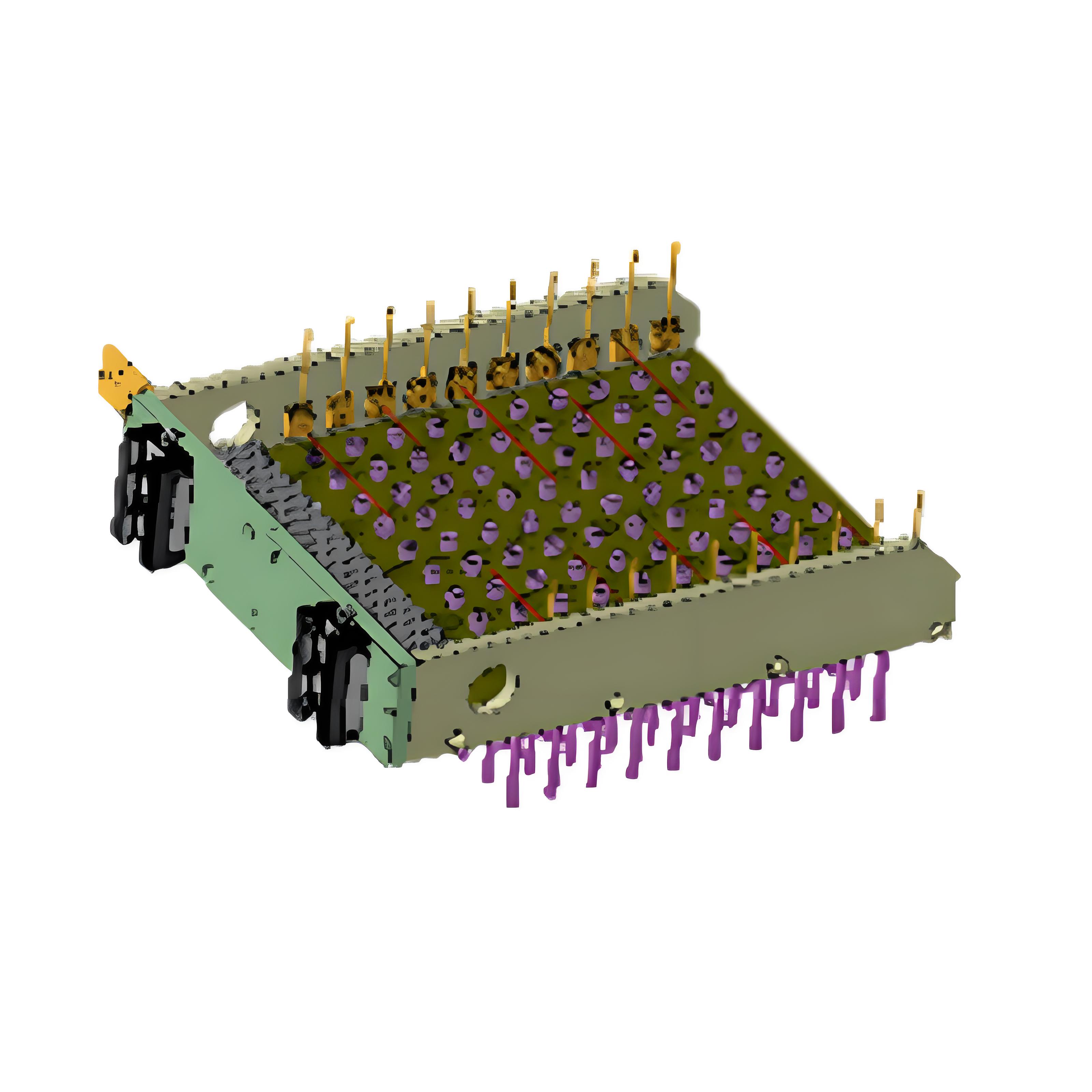 <em><strong>ステップ2</strong></em>