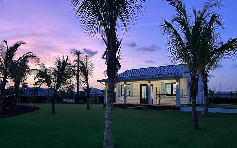 Kiinan keinotekoisen maisemointiruohon toimittaja