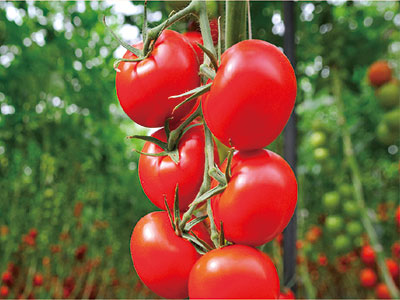 برنامه های کاربردی_02