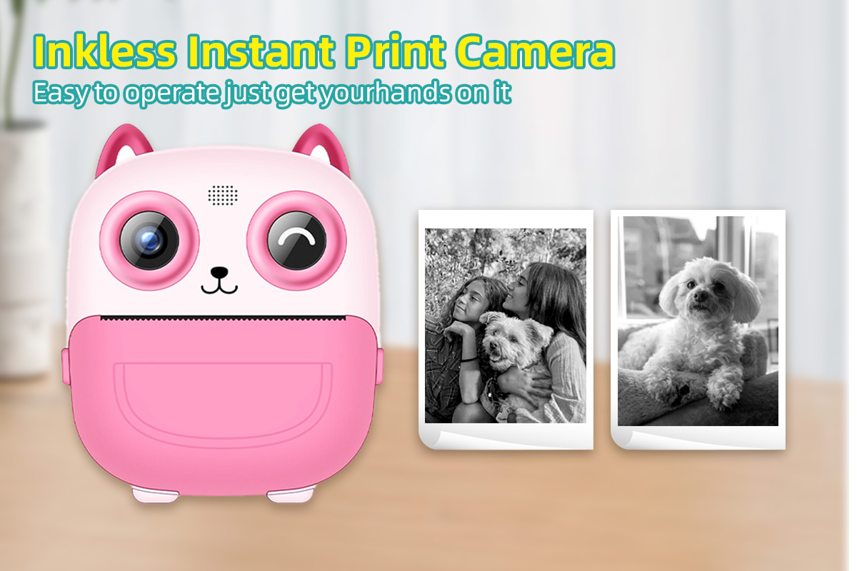 猫头鹰拍立得-8