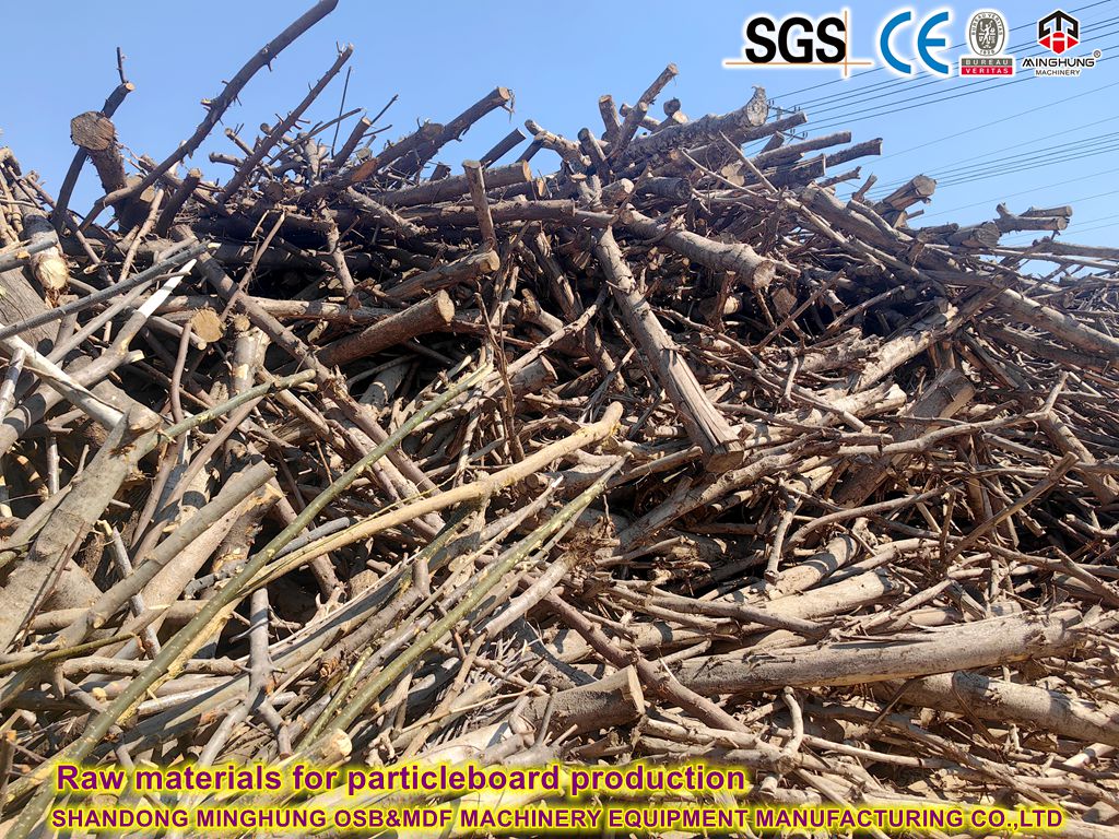 Raw materials for particleboard produce Raw materials for particleboard produce