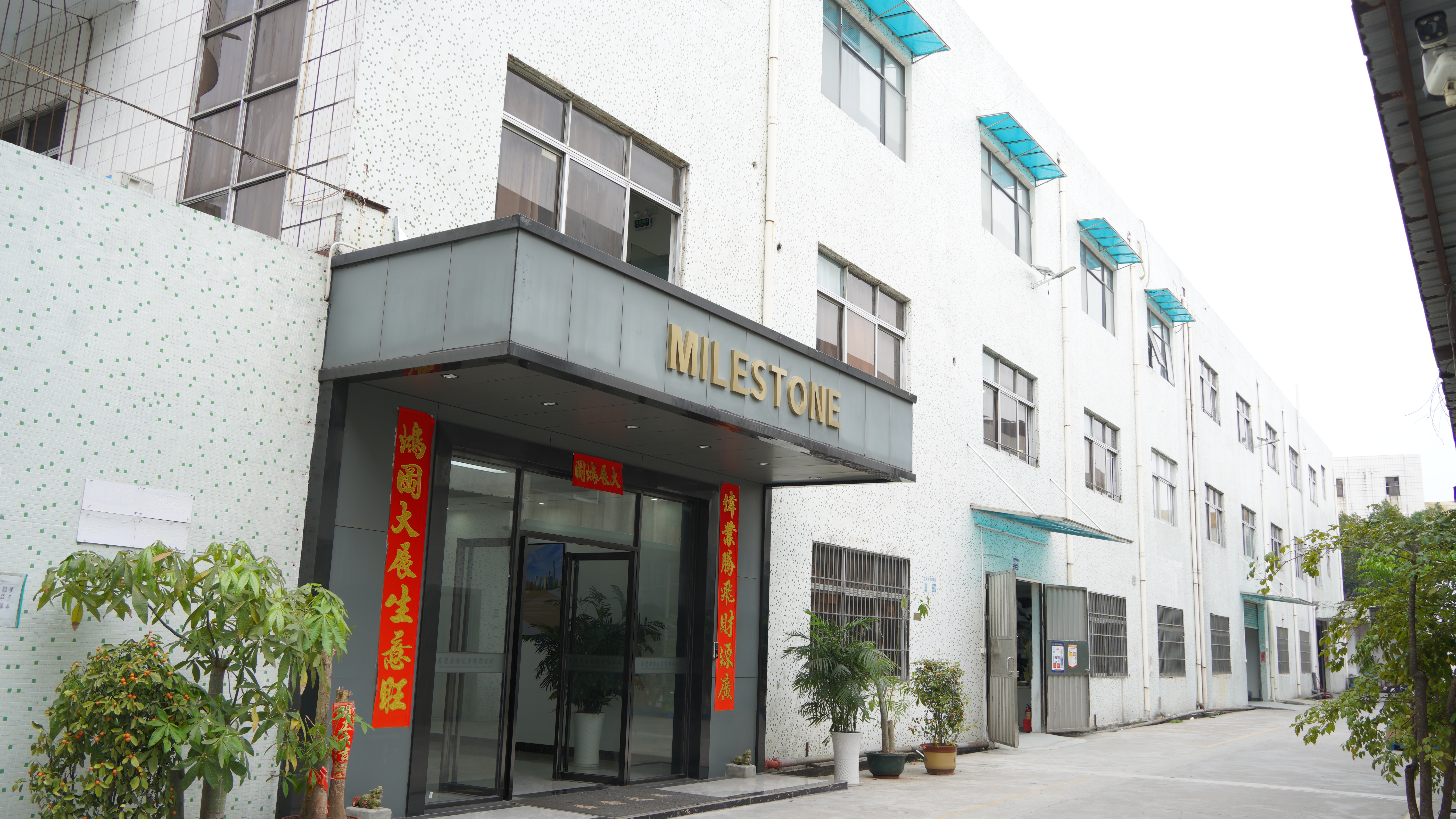 Entry of Milestone