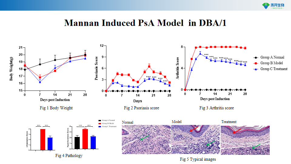 daae90f3c5ad72d09c0c6707781900a