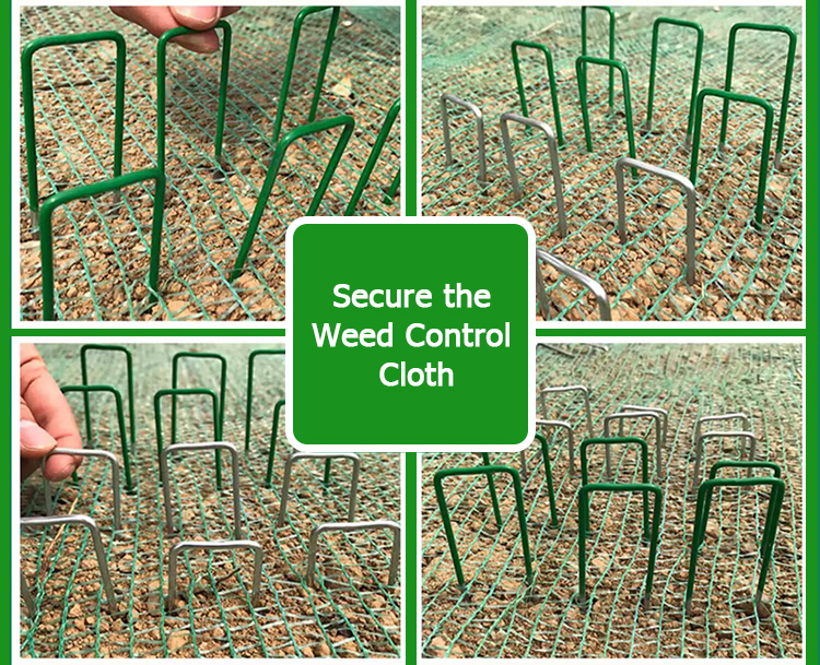 145B9F4EBD1CFDEA568F687B72D4040D