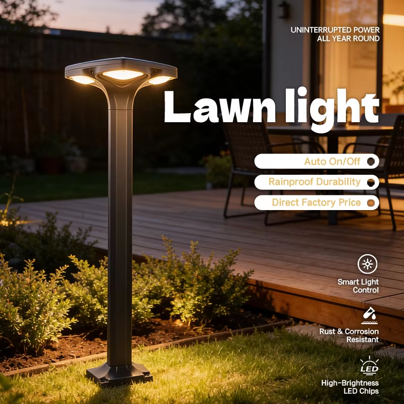 ann&eacute;e 01