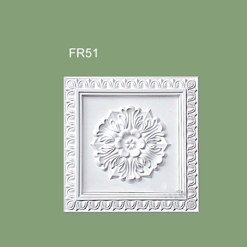 FR51