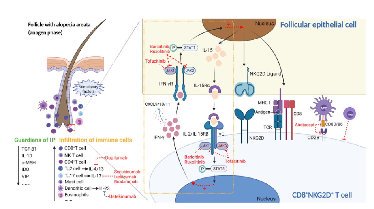 85234523e8dcd3637cdfd90041b880f