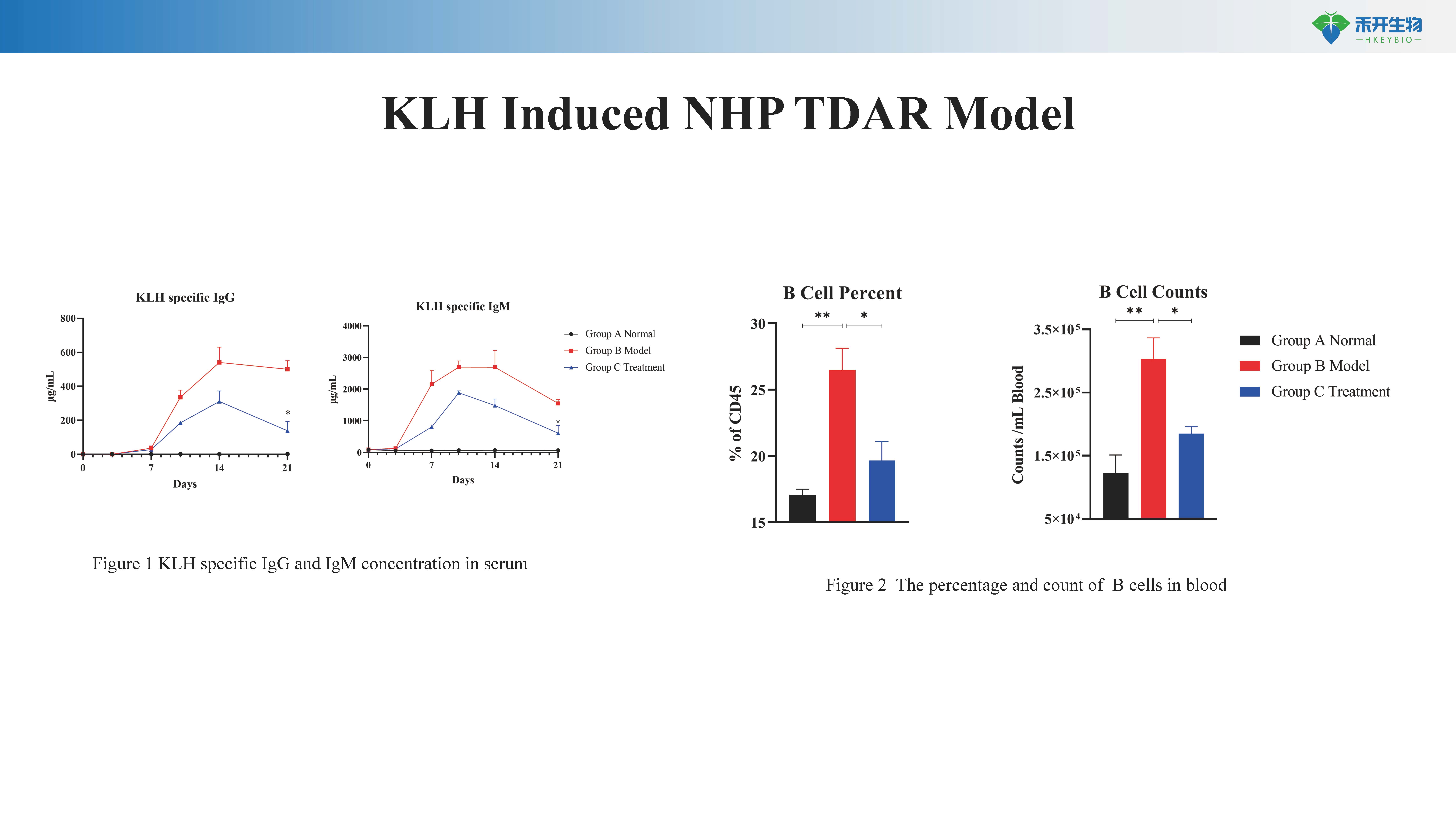 NHP KLH 诱导的TDAR模型介绍 20231124-BW_20240612143029