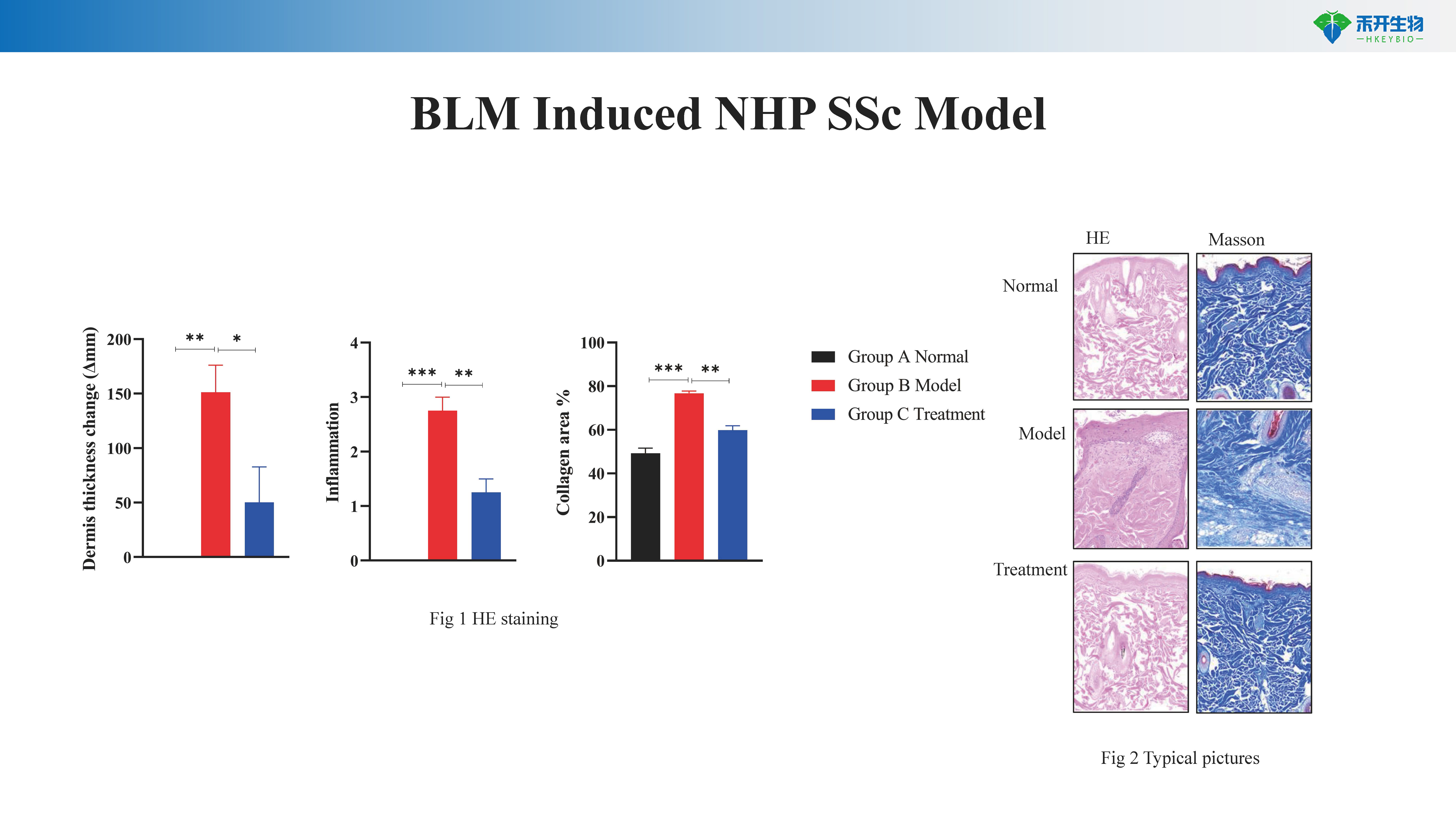 NHP 硬皮病模型SSc-NHP -20240415_20240612110442
