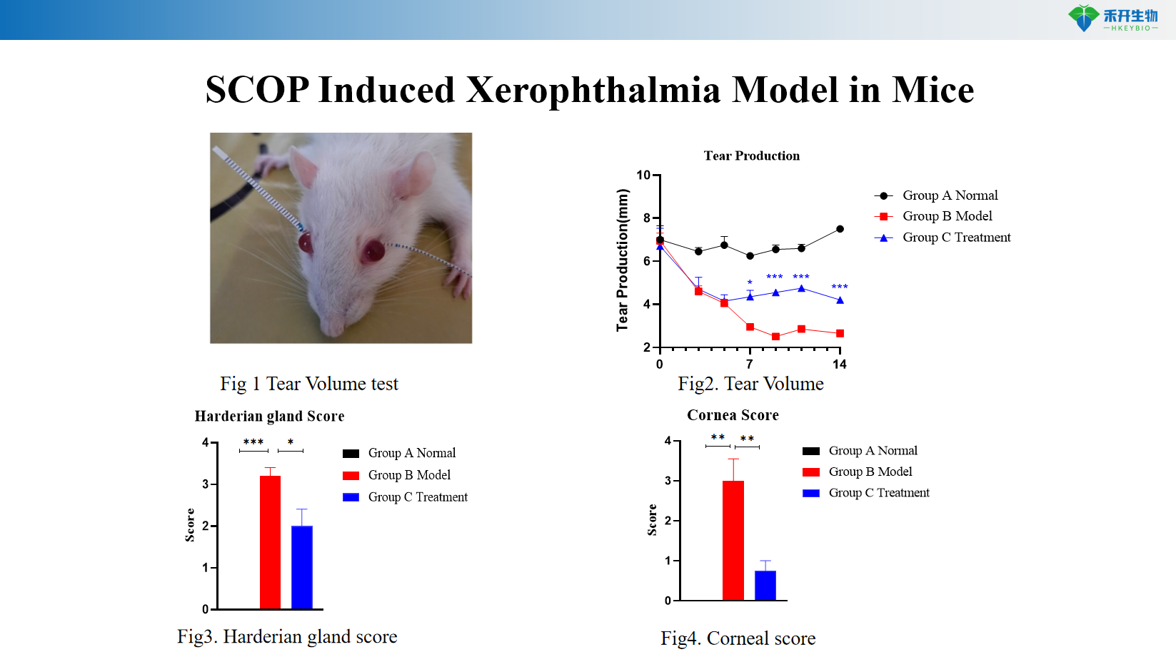 0c6a53f6f8cc658f0dad1acf90ef4e23