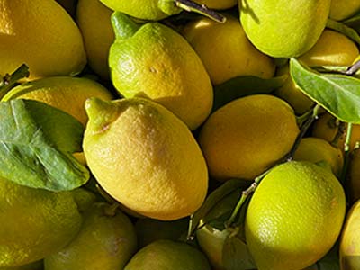 Fruchtfarbstoffd&uuml;nger_09
